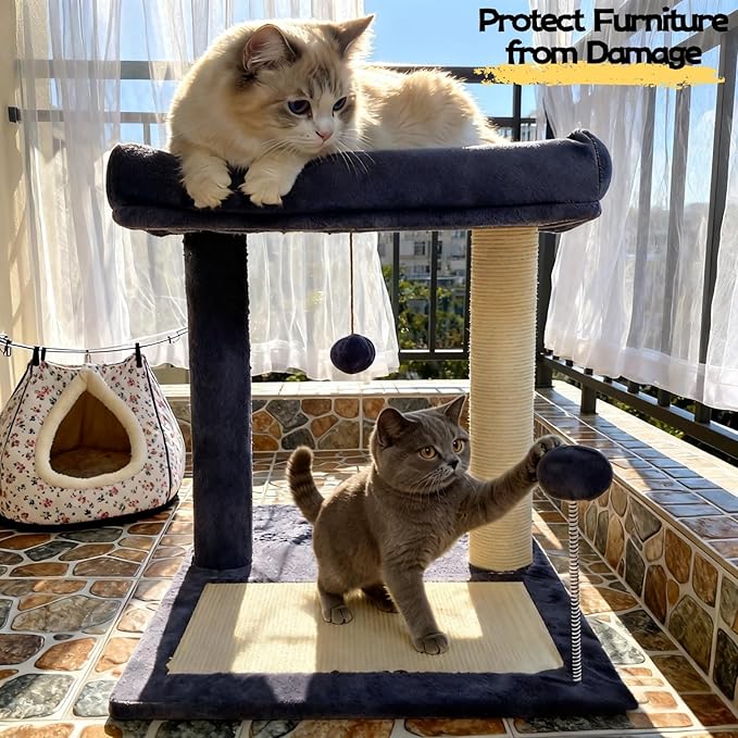 Cat Scratching Post, 19.69" H(50cm) Cat Tree with Cat Bed, Scratching Posts for Indoor Cats with Two Plush Balls Toy, Small Cat Tree for Kittens/Cats Playing and Relaxing