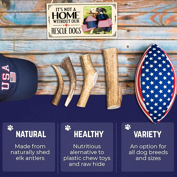 Devil Dog Pet Co. Elk Antlers for Dogs, Medium 5"+, 1 Pack, Grade A Long Lasting Chew for Aggressive Chewers, Premium USA Naturally Shed Antler – Healthy, No Odor, Durable Dog Chew