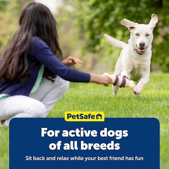 PetSafe Busy Buddy Natural Rawhide Rings - Long-Lasting Dog Chew Refills - Engaging Dog Treat for Training & Playtime - Original Rawhide Flavor - Size C,(Pack of 32)