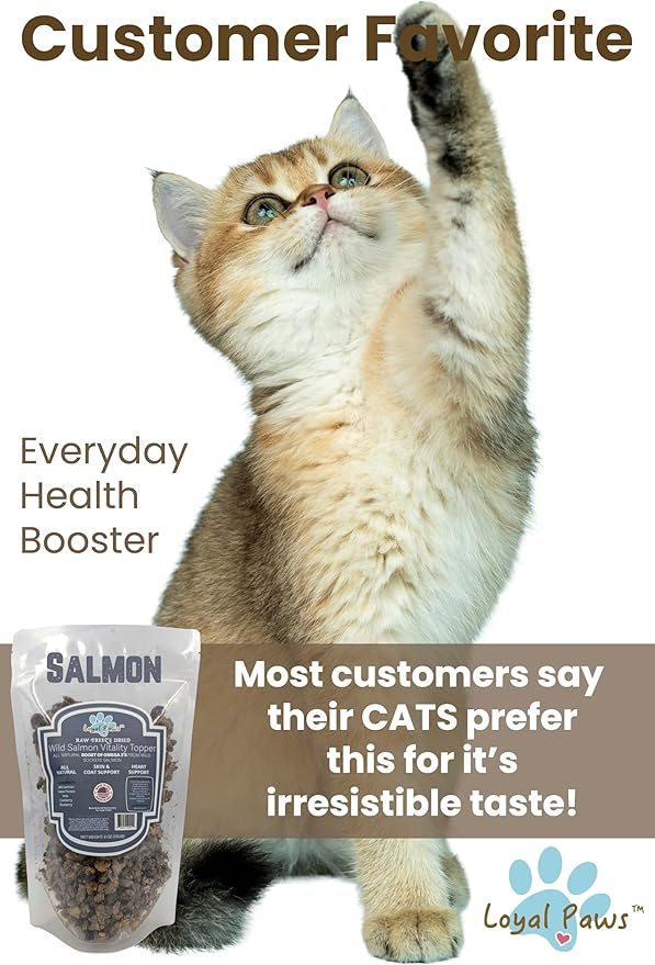 Wild Salmon Blend Raw Food Topper for Cats and Dogs, 6 oz, Natural Omega 3 Boost - 100% USA Made, Natural Dog Food Toppers