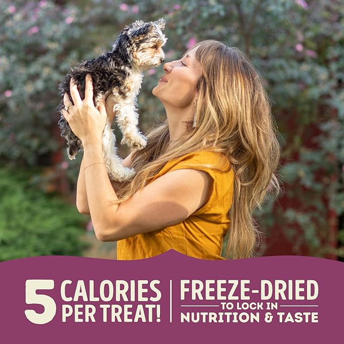 ACANA Singles Grain Free Dog Treats Limited Ingredients & Freeze-Dried Lamb & Apple Recipe 3.25oz Bag