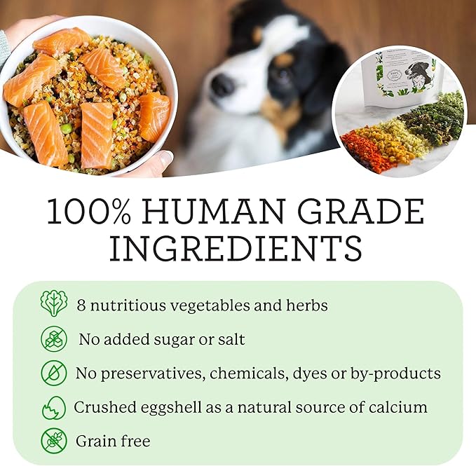 Dr. Harvey's Veg-to-Bowl Dog Food, Human Grade Dehydrated Base Mix for Dogs, Grain Free Holistic Mix (3 Pound)