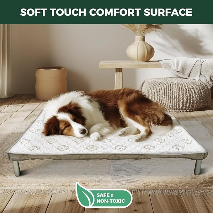 FXW TitanNest Chew-Proof Elevated Dog Bed, Raised Cot for Indoor/Outdoor/Camping Use, Durable & Washable Padded Pet Bed with Exclusive Cover for Extra-Small Dogs, 29.0" L x 18.0" W x 4.5" H, Gray