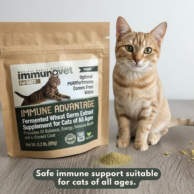 Cat Supplement Powder with Fermented Wheat Germ Extract (FWGE) – Supports Immune System, Gut Health & Energy – Natural, Non-GMO, Vet-Trusted Formula for All Cat Ages – 90g | Immunovet