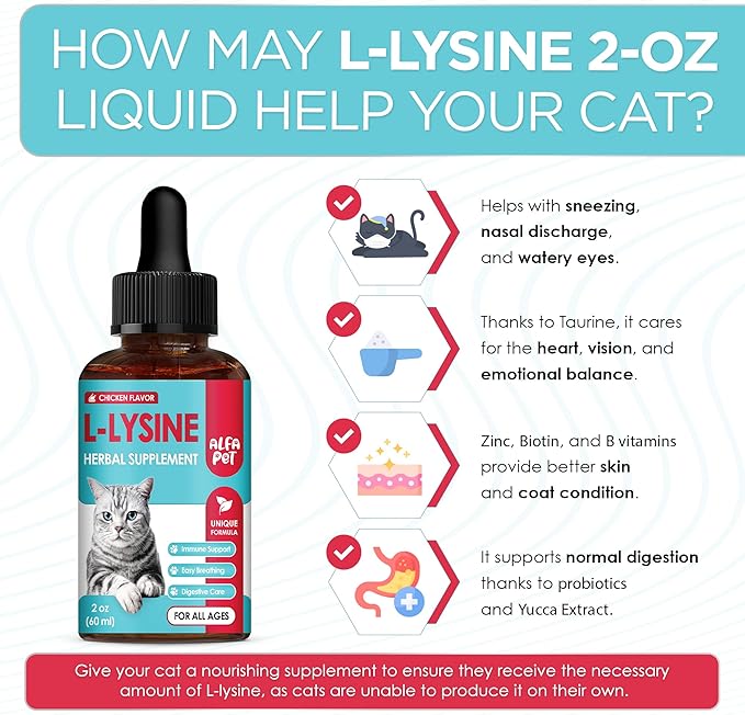 L Lysine for Cats Helps with Watery Eyes, Sneezing, Cough, Allergy – Works as Natural Antibiotic for Cats – Feline Upper Respiratory Supplement with Vitamins, Probiotic and Chicken Flavor – 2 Oz