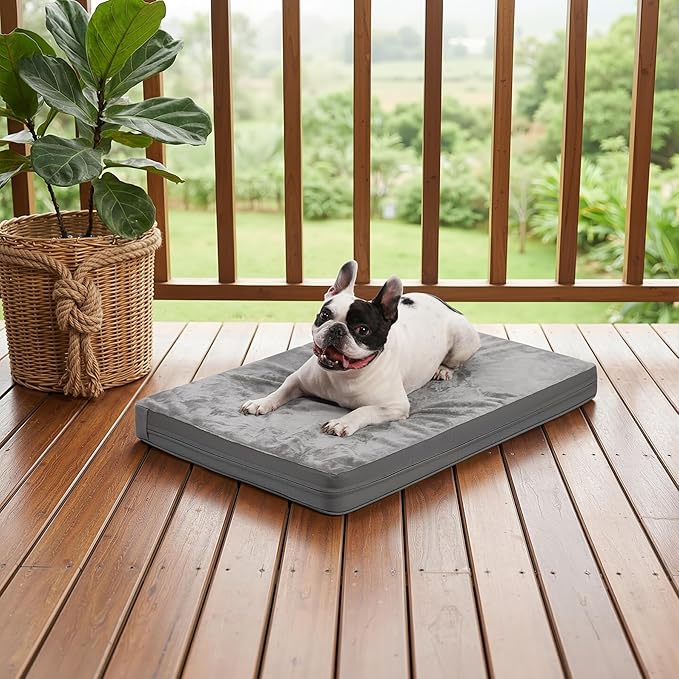 Waterproof Dog Bed Medium Size Dog, Orthopedic Washable Crate Pad 30 inch, Foam Pet Bed with Removable Cover Reversible, Outdoor Anti-Slip Kennel Pad 29"x18", Gray