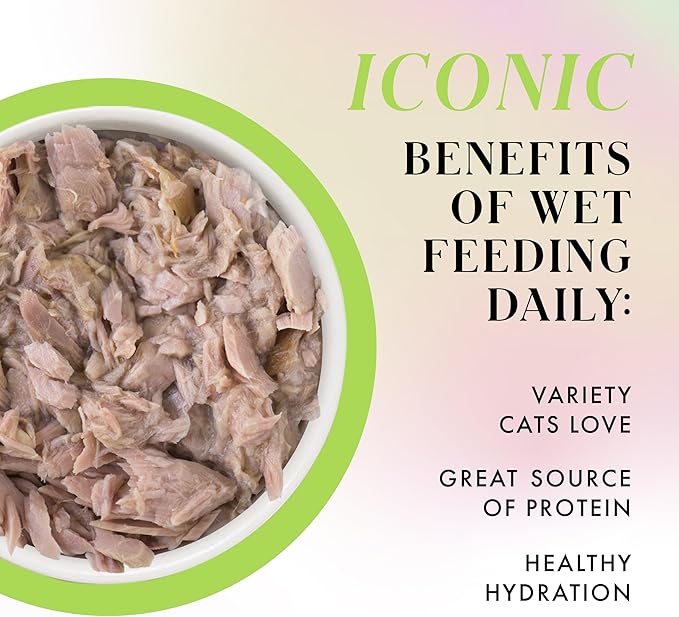 Weruva Paris Hilton Pamper Like Paris Natural Grain Free Wet Cat Food, Tuna in Gravy, 2.47oz Can (Pack of 12)