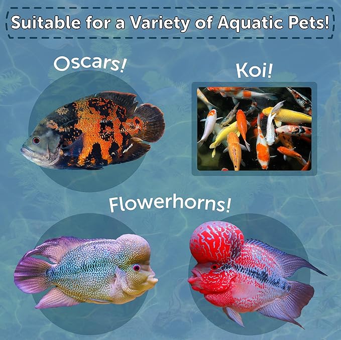 Aquatic Foods Inc. Artic Krill- Freeze Dried Krill for Oscars, Arowana, Lg Cichlids, Monster Fish, Marines, Koi, Land & Aquatic Turtles, Even Cats. Contains Color Enhancing Astaxanthin - 4oz Jar