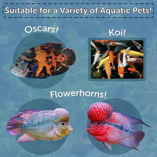 Aquatic Foods Inc. Artic Krill- Freeze Dried Krill for Oscars, Arowana, Lg Cichlids, Monster Fish, Marines, Koi, Land & Aquatic Turtles, Even Cats. Contains Color Enhancing Astaxanthin - 4oz Jar
