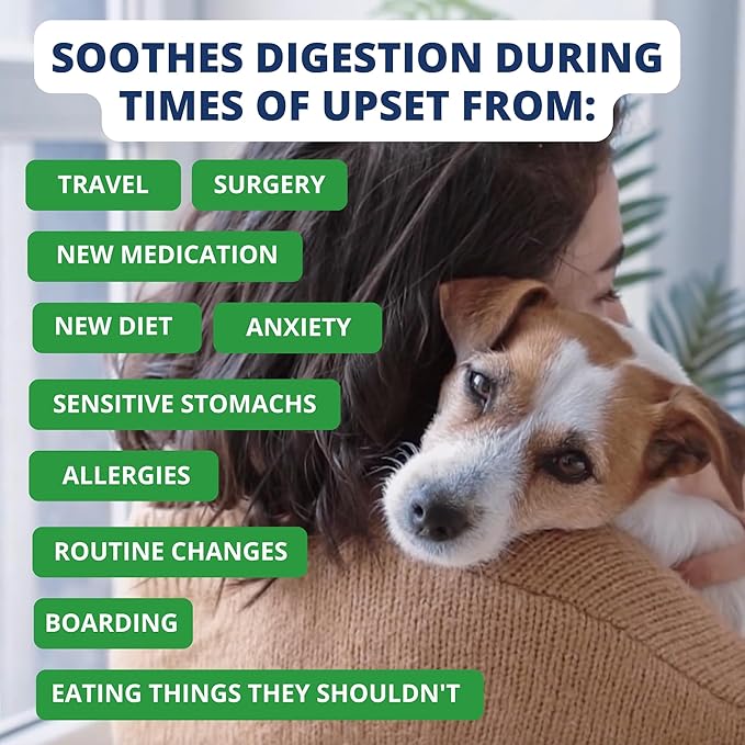 Under the Weather Bland Diet for Dogs | Easy to Digest for Sick Dogs | Always Be Ready | Contains Electrolytes - Natural Freeze Dried 100% Human Grade Meats| 2 Pack- Rice, Hamburger & Bone Broth - 6oz
