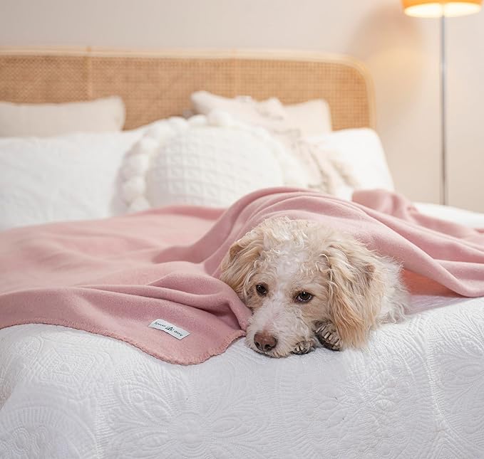 Fleece Throw Blankets Bulk Fleece Blankets Solid Wholesale Lightweight Warm Soft for Pet Bed Sofa Couch Office Wedding Gifts Travel Seasons Grey and Pink 50x60 Inches Pack of 6