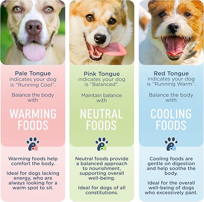 Side by Side Beef & Salmon Stew - Neutral Wet Dog Food & Dog Food Topper - Made with Nutrients & Whole Raw Ingredients - Human-Grade, No Artificial Additives or Fillers - USA Made (12.5 oz, 1-Pack)
