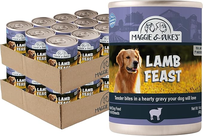CountryMax Maggie & Duke's Tender Bites in Gravy Canned Dog Food, 14 oz Cans – Premium Wet Food for Dogs, High Protein, Grain-Free, Natural Ingredients (24 Pack, Lamb Feast)