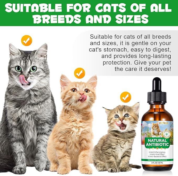 Antibiotics for Cats, Natural Antibiotic Drops Supports Immune & Allergy & Itch Relief, Vitamins Herbal Supplement, Pet Supplies Cats UTI Antibiotics, Chicken Flavor - 2 fl oz / 60ml