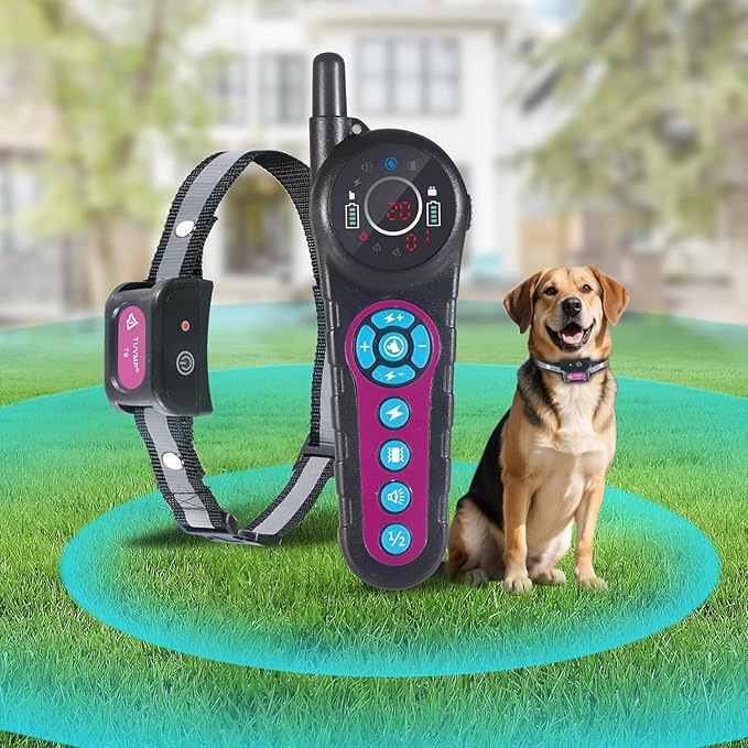 DOTSTAR Dog Wireless Fence Training Collar Pet Electric 2 in 1 System, Portable Dog Perimeter Fence Training Collar, Rechargeable Pet Containment System with 3 Training Modes for Large Medium Dogs