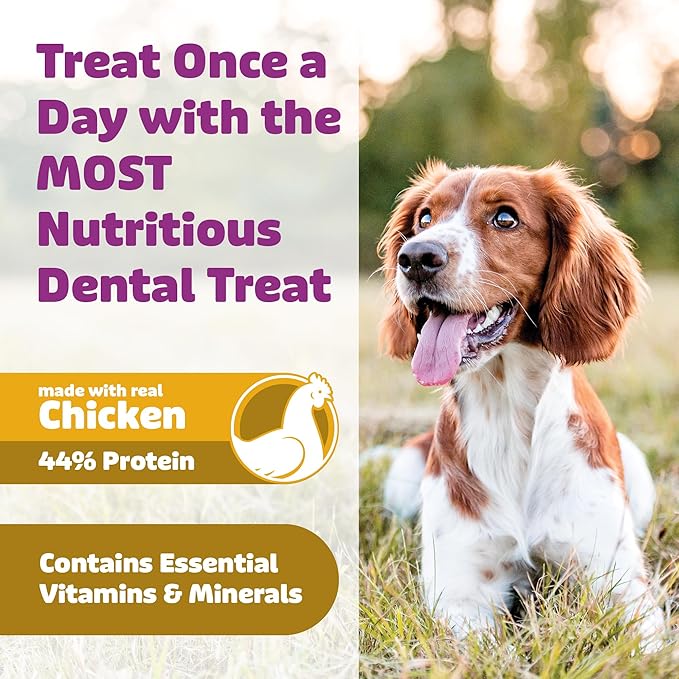 Yummy Combs Dog Dental Treats – Vet VOHC Approved – Delicious Chicken Protein – Removes Tartar with Cleaning Comb Shape – Dental Dog Treats for Medium Dogs (24oz, 30 Count)