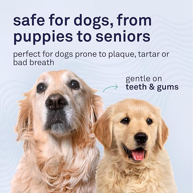 Petpost | Dental Solution for Dogs - Water Additive That Eliminates Bad Breath - Dirt, Gunk, and Tooth Buildup Gone - Natural Tooth Cleaning Solution 16 oz.