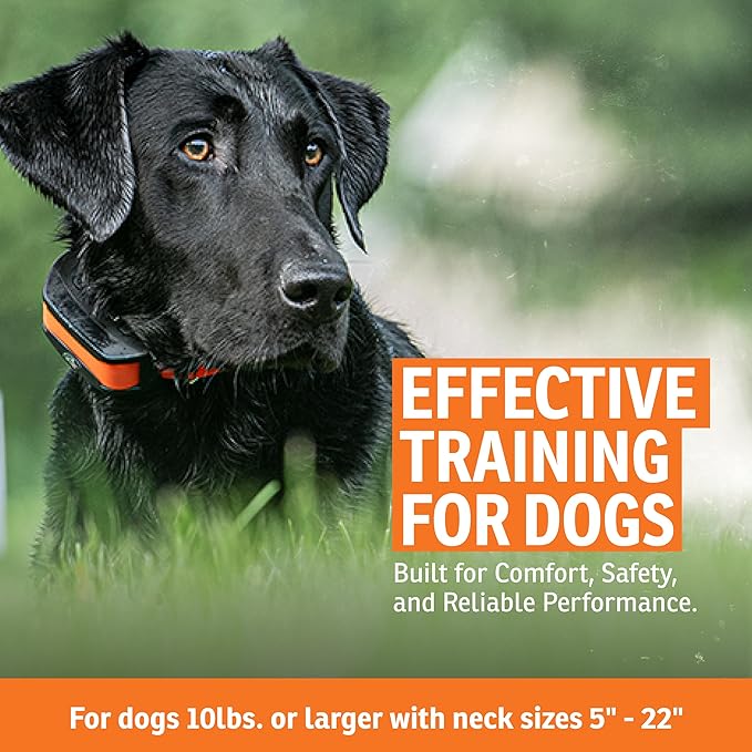 SportDOG Rechargeable In-Ground Fence System - Creates Secure Play Area - Electric Fence for Dogs - Waterproof Collar - Long-Lasting System - Expandable Design