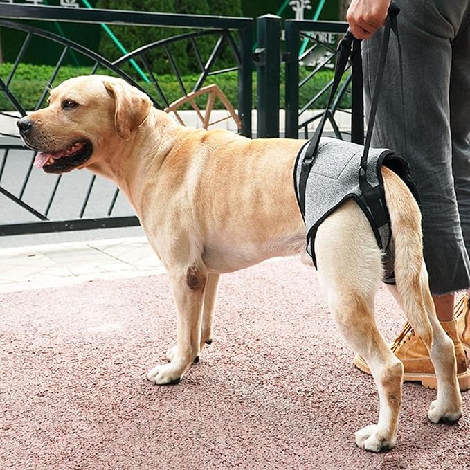 Dog for Large Dogs Back Lift Harness for Injured Elderly Dogs Disabled Pet Supplies for Back Legs Accessories