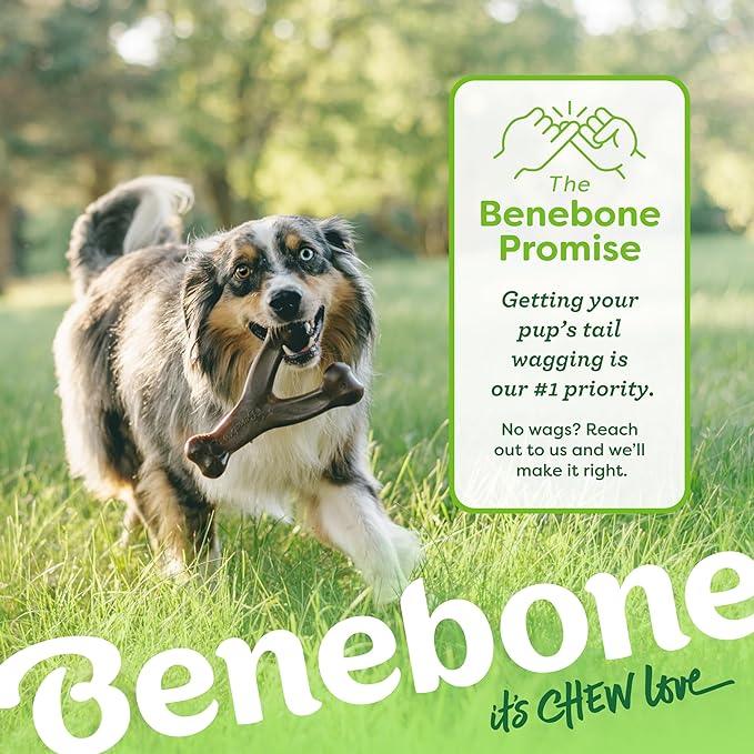 Benebone Wishbone Durable Dog Chew Toy for Aggressive Chewers, Real Chicken, Made in USA, Medium, for All Breed Sizes