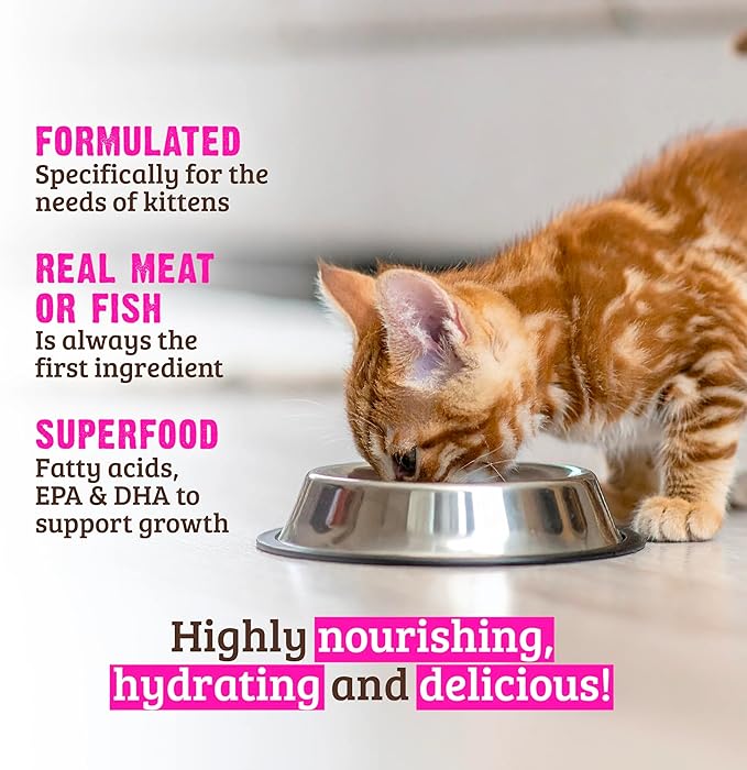 Rawz Natural Premium Kitten Pate Canned Cat Wet Food -12 Pack Cans Variety Flavor Pack -4 Flavors - (Salmon, Chicken, Tuna, Beef) Pets Can Lid - (2.8 oz Cans)
