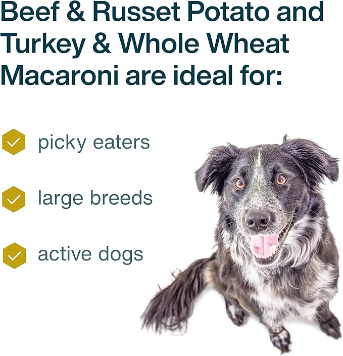 JustFoodForDogs Frozen Fresh Dog Food, Complete Meal or Topper, Beef & Russet Potato/Turkey & Whole Wheat Macaroni Human Grade Dog Food Recipe, 5.5 oz (Pack of 36)
