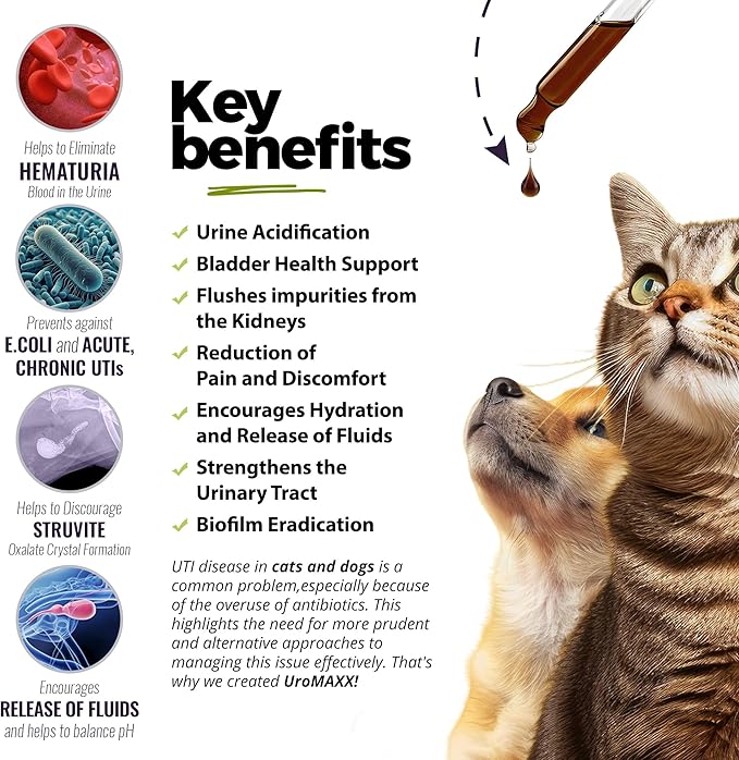 Cat & Dog Urinary Tract Treatment, Bladder & Kidney Support for Dogs and Cats, Powerful Yet Gentle Pet Care, with Liquid Cranberry & Glucosamine, Chicken Flavor, 6 oz Bottle, 2 Pack