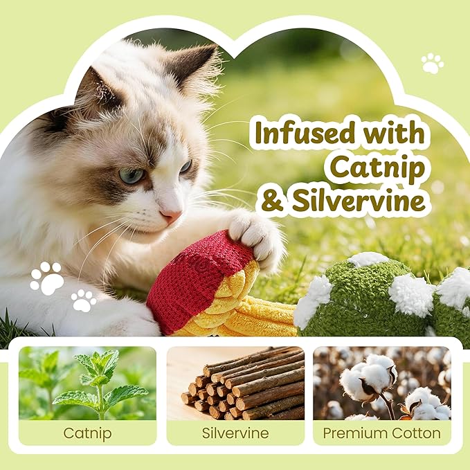 Cat Toys for Indoor Cats, Catnip and Silvervine Chew Toys with Different Textures, Funny Slang Printed Kitten Toys for Teething, Cat Toys for Bored Indoor Adult Cats, Value Multi-Pack