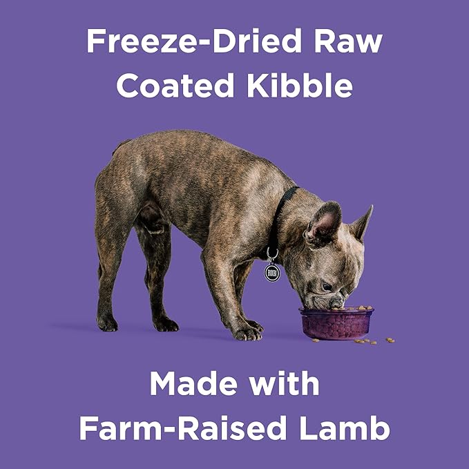 BIXBI Rawbble Freeze-Dried Raw Coated Dog Food, Lamb – Fresh Meat, No Meat Meals, Grain-Free – USA Made, 4 lbs