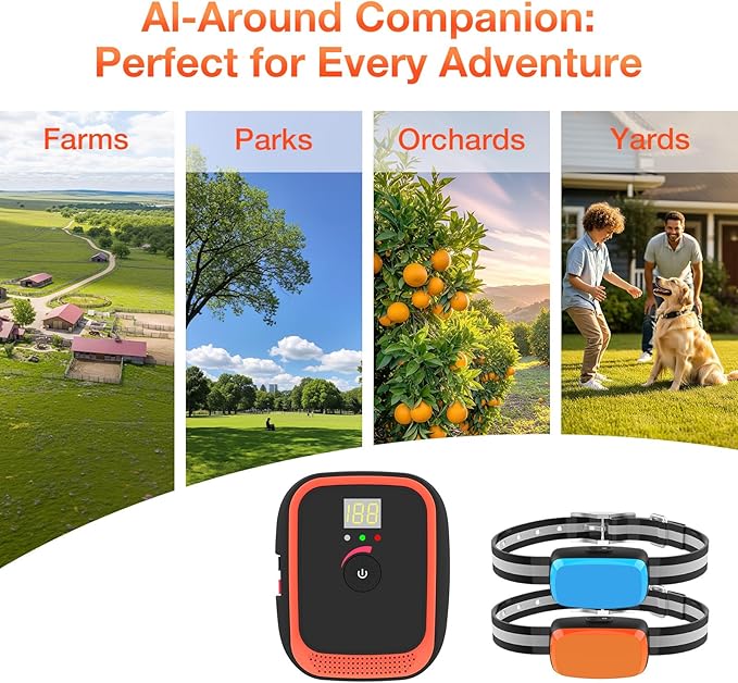 Electric Fence for Dogs, Rechargeable Underground Dog Fence with 656Ft Wire, 2 Waterproof Collar, Wired Dog Fence System for 2 Dogs