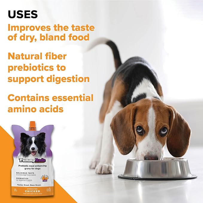YummyRade – Pet Meal Topper for Dry Dog Food | Healthier Gravy Meal Enhancer & Tasty Low Calorie | Grain Free, Chicken Flavored | Flavor-Boosting Gravy Topper Pets Love! | (250ml x 10)