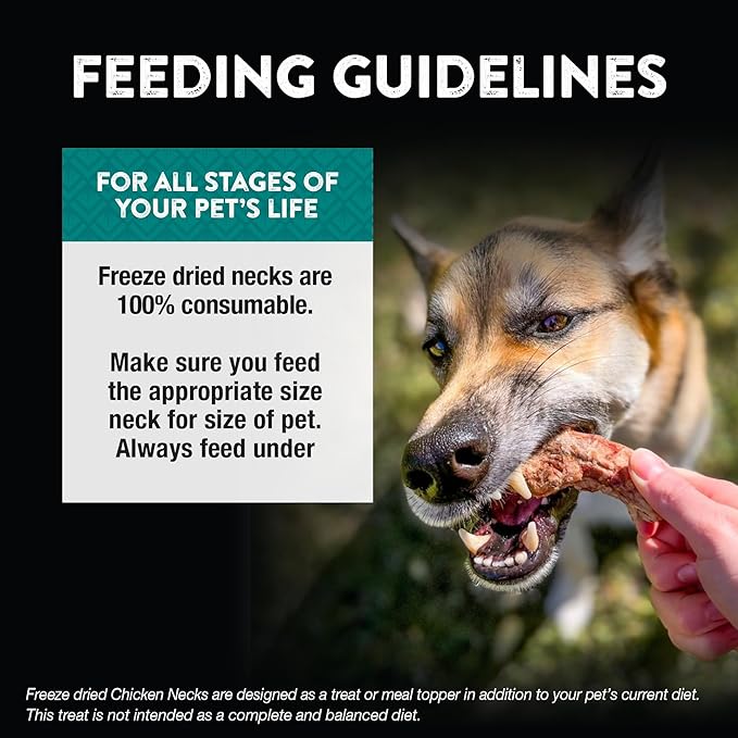 Northwest Naturals Raw Rewards Freeze-Dried Chicken Neck Treats for Dogs and Cats - Whole Neck - Healthy, 1 Ingredient, Human Grade Ingredients, All Natural, Proudly Made in USA, 4 Oz