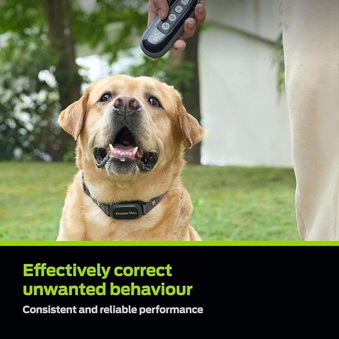 Premier Pet Dog Shock Collar - Safe Behavior Training - 1000ft Long Range Training Shock Collar with Remote - Waterproof Rechargeable Design - 3 Modes - 16 Levels of Static Stimulation