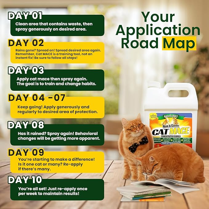 Nature's MACE Cat Mace Cat Repellent, Training Liquid Deterrent Tool, Makes 16 Gallons, Keep Out of Lawn & Garden, Large Areas, Outdoor & Indoor Use, Yards, Landscaped, Plants, 1 Gallon Concentrate