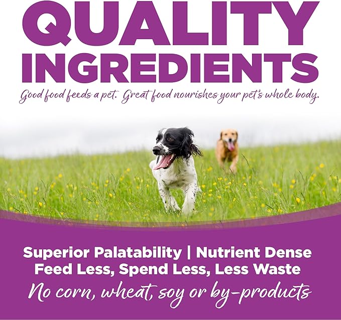 NutriSource Puppy Food for Large Breeds, Chicken and Rice, 4LB