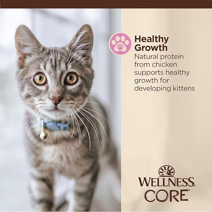 Wellness CORE Tiny Tasters Minced Kitten Wet Cat Food,Natural,Protein-Rich,Grain Free,1.75-Ounce Pouch,(Chicken),(Pack of 24)