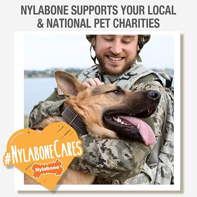 Nylabone Original Bone Power Chew Toy for Dogs, Durable & Tough Dog Toys for Aggressive Chewers, Original Flavor, Small - Up to 25 Ibs, 1 Count