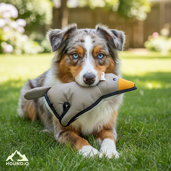 Plush Dog Toys | Coyote Stuffed Animal Squeaky Toy for Dogs | Outdoor Pet Toy Built for Adventure