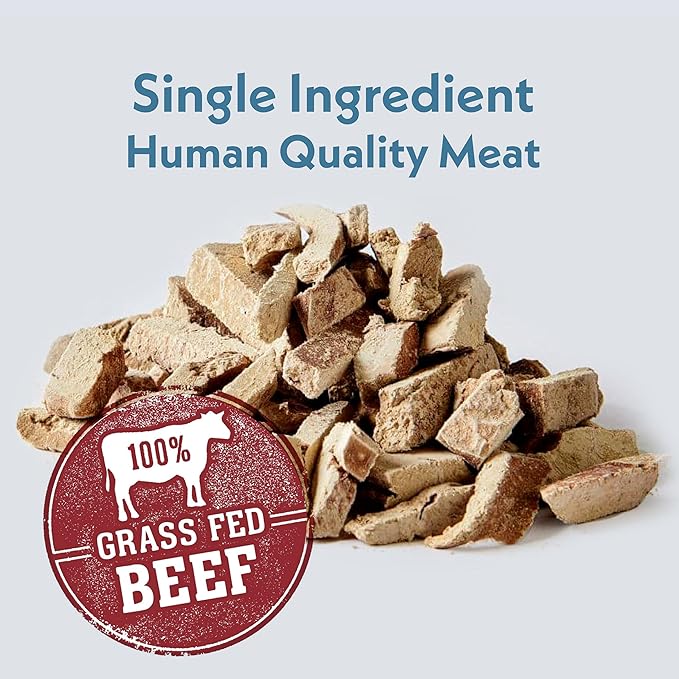 Fresh Is Best Freeze Dried Dog Treats – Raw Freeze Dried Dog Food for Cats & Canines – Training Treat in Resealable Zipper Bag – High-Protein Beef Liver Fillets – Made in The USA