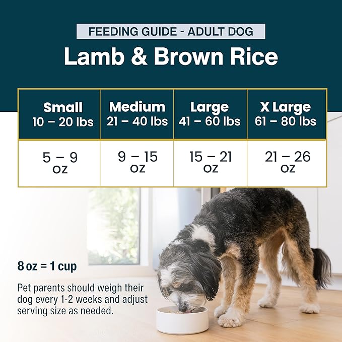 JustFoodForDogs Pantry Fresh Wet Dog Food, Complete Meal or Dog Food Topper, Lamb & Brown Rice Human Grade Dog Food Recipe - 12.5 oz (Pack of 12)
