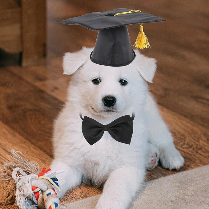 SUPVOX Graduation Themed Dog Necktie and Puppy Doctoral Hat Set Decorative Pet Supply for Dog Party and Celebration Accessories