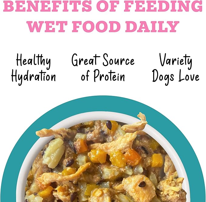 Weruva Awesome Belly Wet Dog Food, Chicken, White Rice & Pumpkin with Papaya, 14oz Can (Pack of 10)