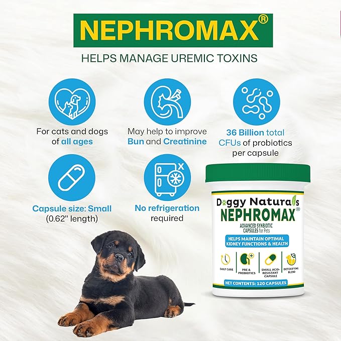 NEPHROMAX™ Synbiotic Capsules for Kidney Support for Dogs & Cats (120 Small Capsules) - Advanced Next-Generation Enteric detoxifying Blend of Pre & Probiotics Kidney Support U.S.A (120 Caps)