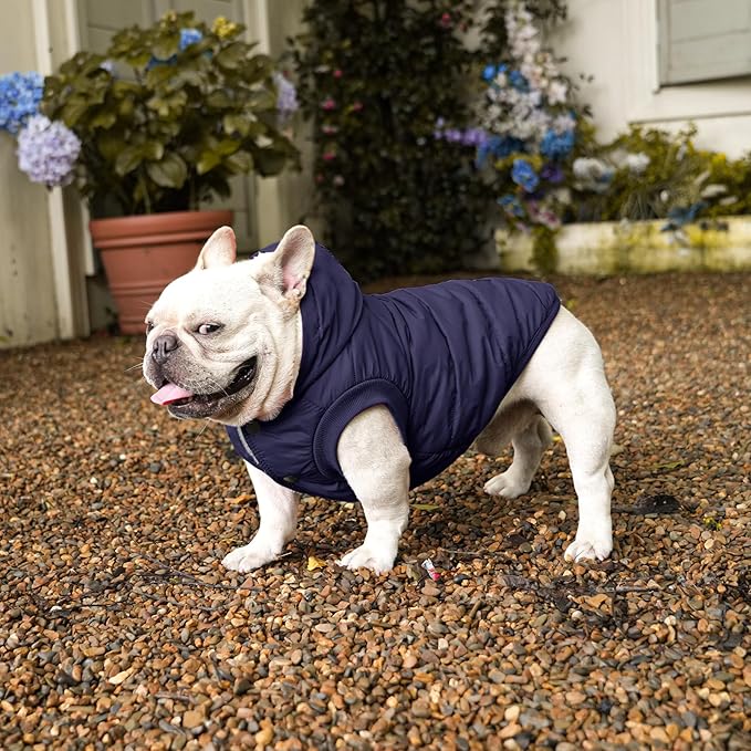 Fleece Lining Extra Warm Dog Hoodie in Winter for Large Dogs Jacket Pet Coats with Hooded,Blue XXXL