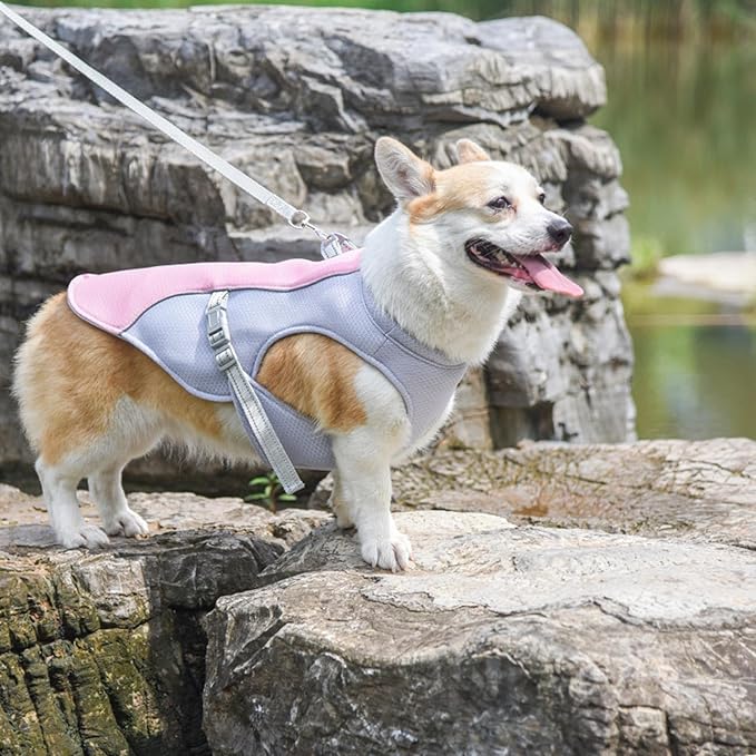 Dog Cooling Clothes Pet Vest Breath-able Mesh Fast-Dry with Reflective Strip Dogs Supply Mesh Fabric Clothing Lightweight for Dogs