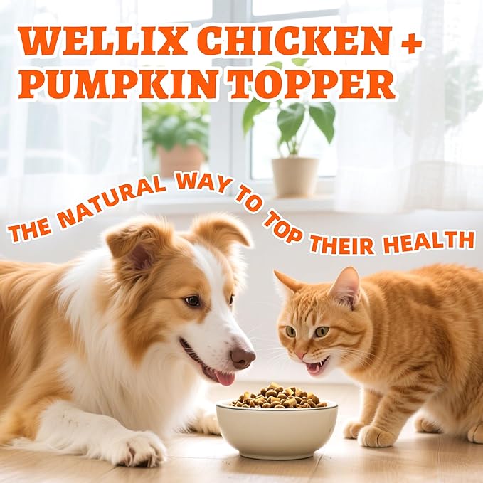 Wellix Chicken & Pumpkin Raw Treat – Freeze Dried Chicken Snacks, Pet Food Topper, Grain Free, Crunchy Cat Treats for Indoor Cats - for Small, Medium & Large Cats & Dogs - 4.59 oz