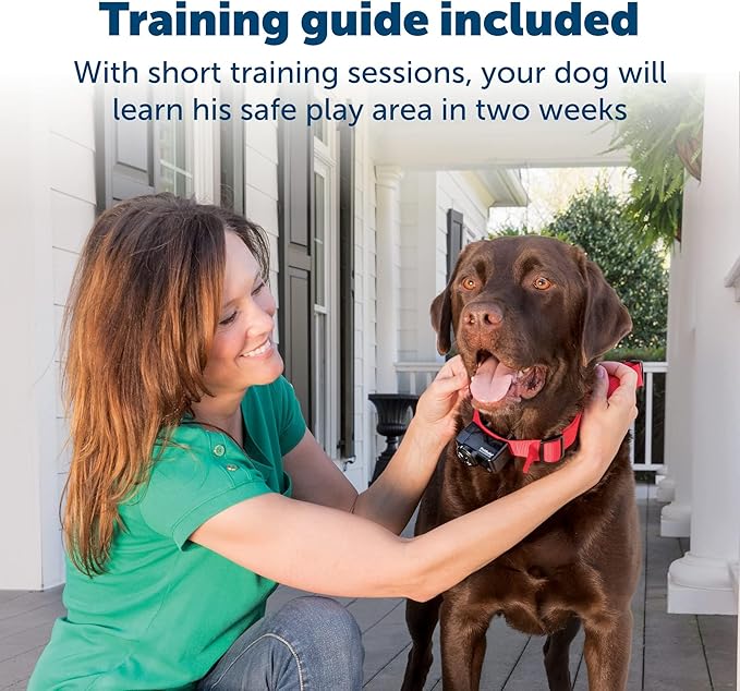 PetSafe Wireless Pet Containment System Receiver Collar for Dogs Over 8 lb, Battery-Operated & Waterproof with 5 Correction Levels, Bundled with 2-Pack Replacement RFA-67 6V Batteries