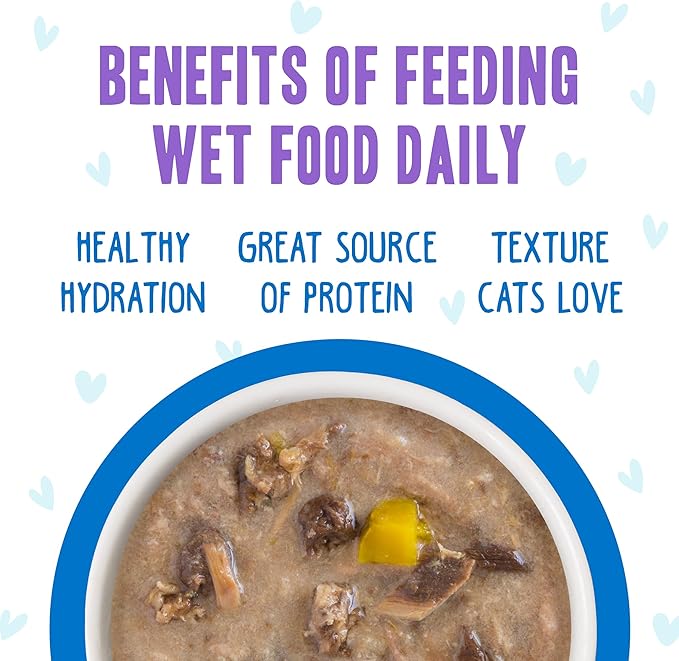 Weruva B.F.F. OMG - Best Feline Friend Oh My Gravy!, Love Munchkin! with Chicken & Pumpkin in Gravy Cat Food, 2.8oz Can (Pack of 12)