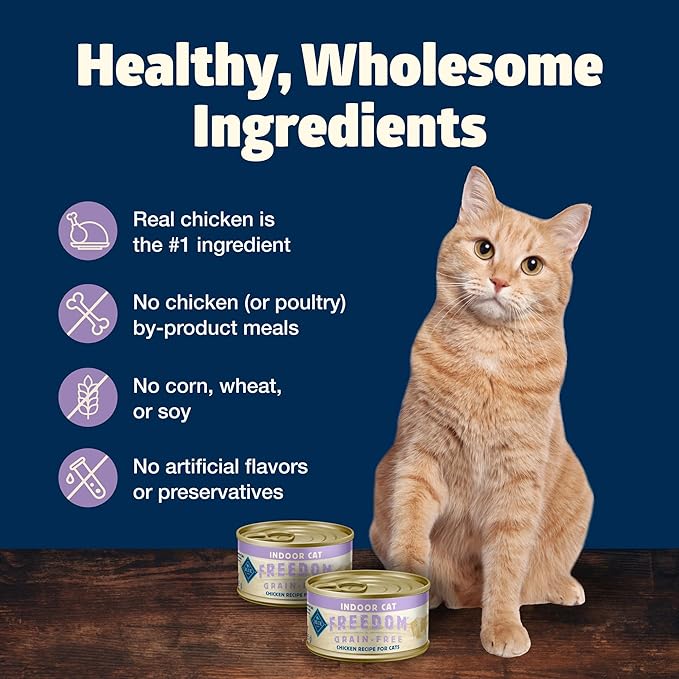 Blue Buffalo Freedom Grain-Free Adult Wet Cat Food, Complete & Balanced Nutrition for Indoor Cats, Made with Natural Ingredients, Chicken Recipe, 5.5-oz. Cans (24 Count)