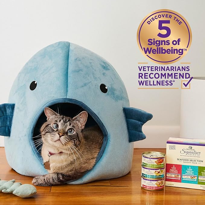 Wellness CORE Signature Selects Shredded Adult Wet Cat Food, Natural, Protein-Rich, Grain Free, 5.3 Ounce, 12 Pack (Chicken & Chicken Liver)